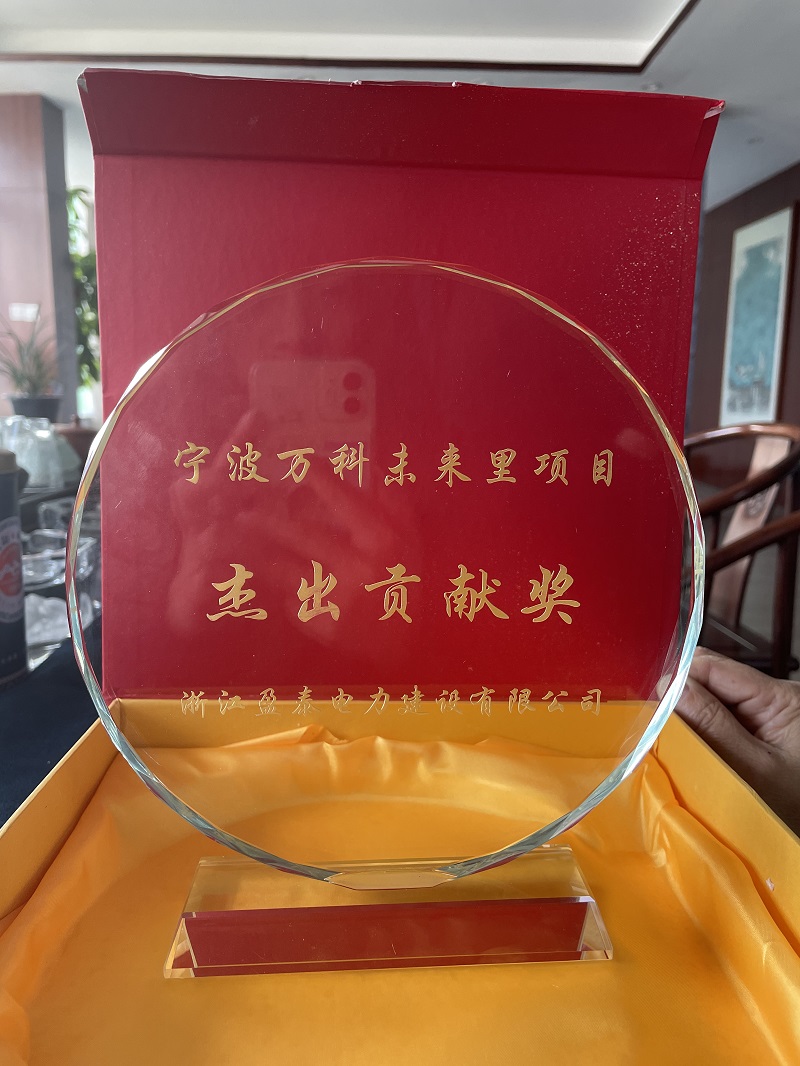 寧波萬科未來里項目杰出貢獻獎